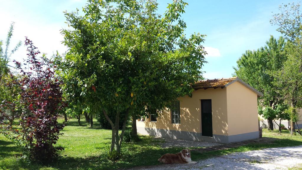Agriturismo Podere La Cascata Villa Massa Marittima Kültér fotó
