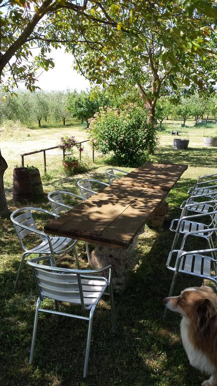 Agriturismo Podere La Cascata Villa Massa Marittima Kültér fotó